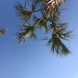 Meet your Posher, Jeffrey